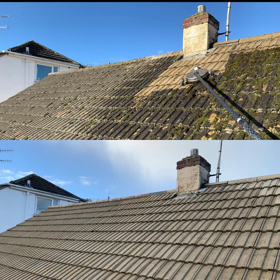 Moss Cleaning Service​