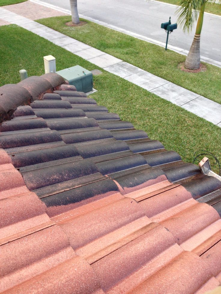 Cleaning Asphalt Roof Shingles​