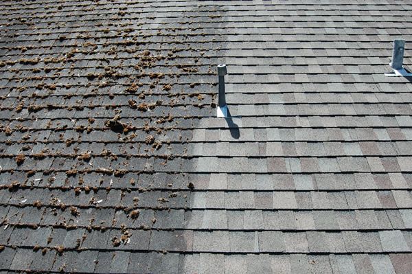 Cedar Shake Cleaning​