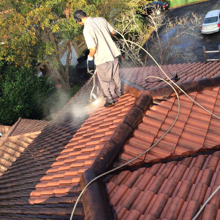 Soft Wash Roof Cleaning​