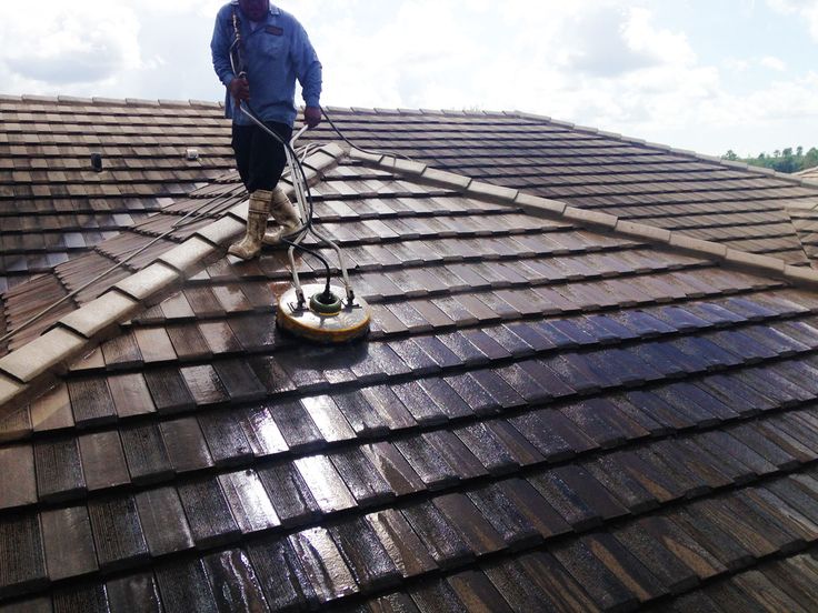 Roof Cleaning 1