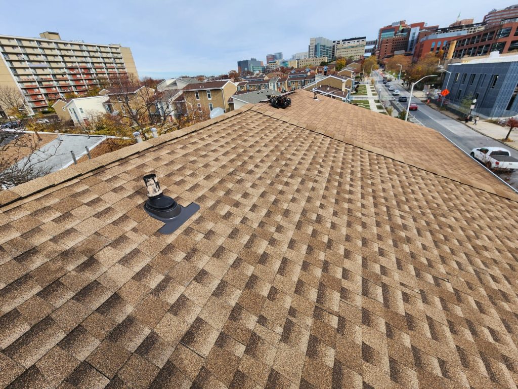 City Roof Inspection